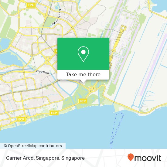 Carrier Arcd, Singapore地图