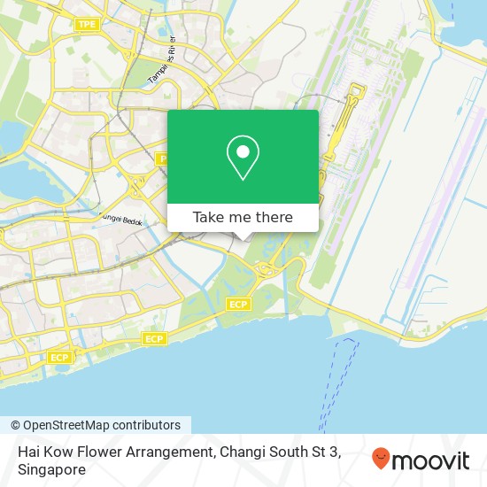 Hai Kow Flower Arrangement, Changi South St 3地图