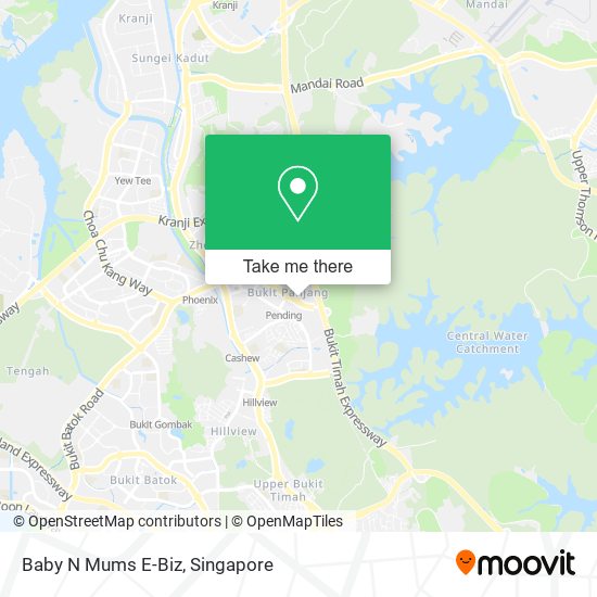 Baby N Mums E-Biz map