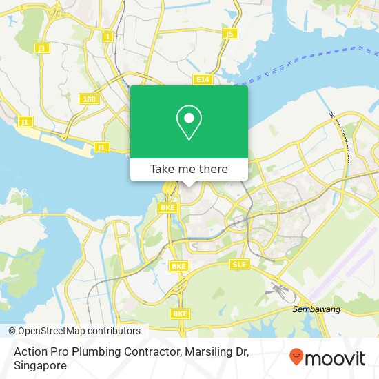 Action Pro Plumbing Contractor, Marsiling Dr地图