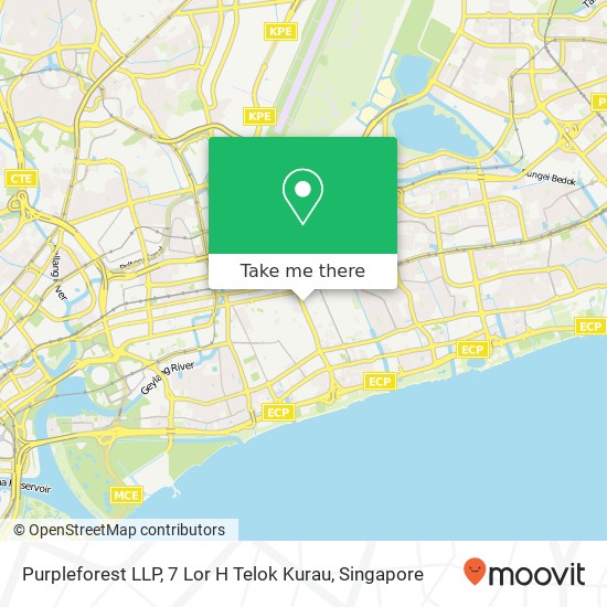 Purpleforest LLP, 7 Lor H Telok Kurau map