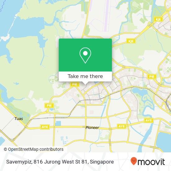 Savemypiz, 816 Jurong West St 81地图