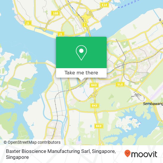 Baxter Bioscience Manufacturing Sarl, Singapore地图