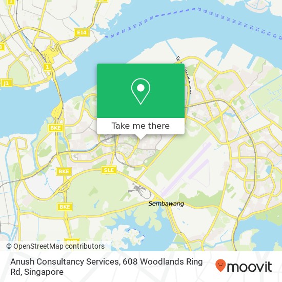 Anush Consultancy Services, 608 Woodlands Ring Rd map