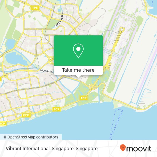 Vibrant International, Singapore地图