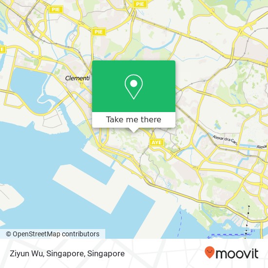 Ziyun Wu, Singapore map