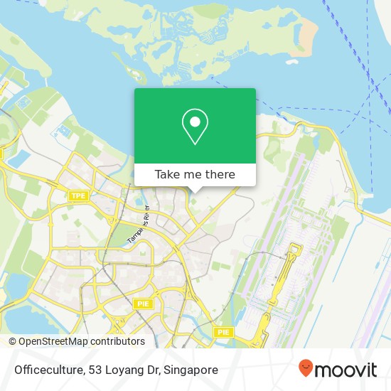 Officeculture, 53 Loyang Dr map