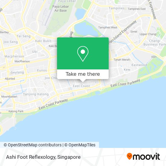 Ashi Foot Reflexology map