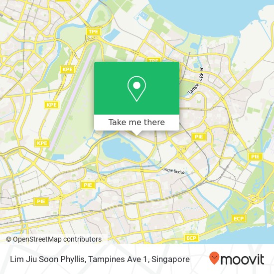 Lim Jiu Soon Phyllis, Tampines Ave 1地图