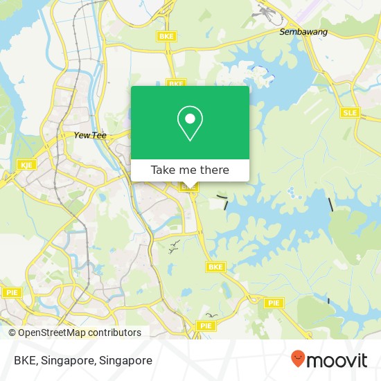 BKE, Singapore map