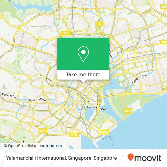 Yalamanchilli International, Singapore地图