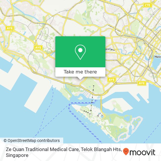 Ze Quan Traditional Medical Care, Telok Blangah Hts地图