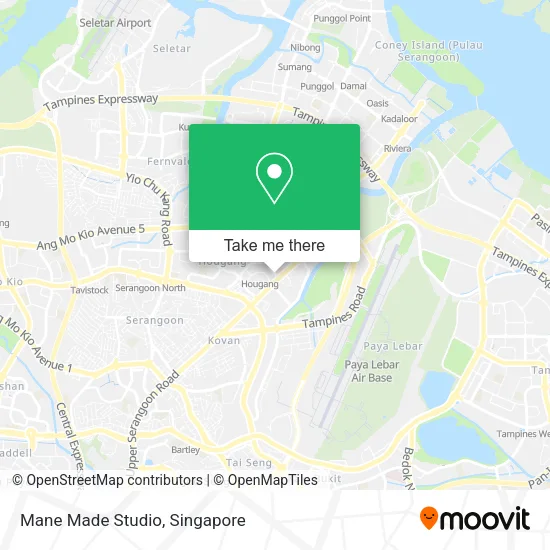 Mane Made Studio map