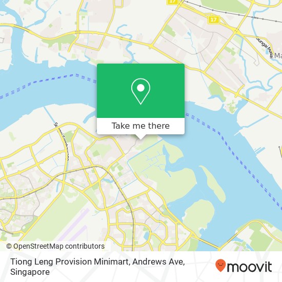 Tiong Leng Provision Minimart, Andrews Ave地图