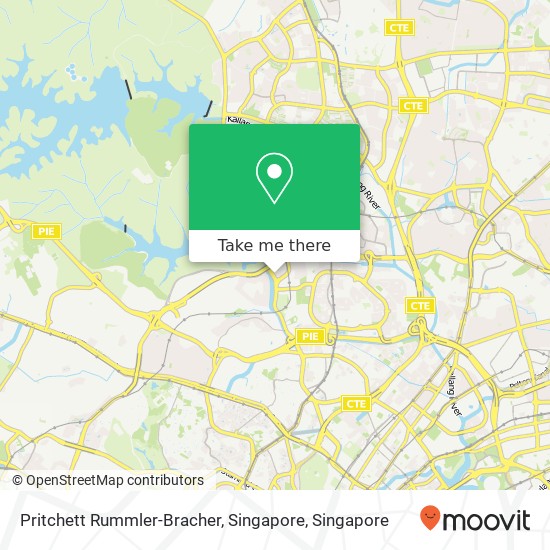 Pritchett Rummler-Bracher, Singapore map