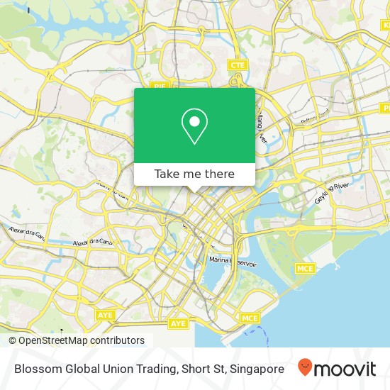 Blossom Global Union Trading, Short St map