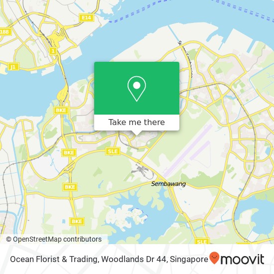 Ocean Florist & Trading, Woodlands Dr 44地图