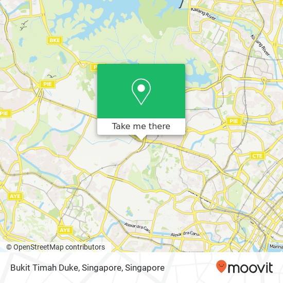 Bukit Timah Duke, Singapore地图