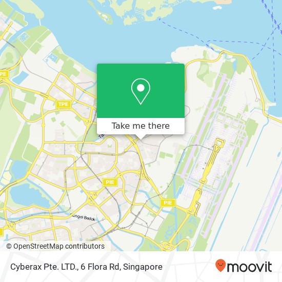 Cyberax Pte. LTD., 6 Flora Rd地图