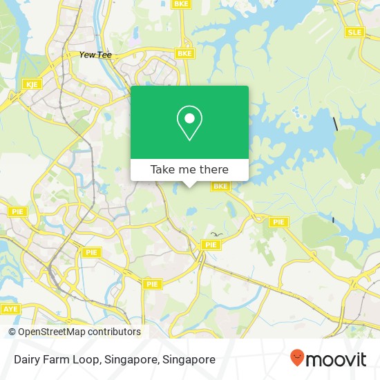 Dairy Farm Loop, Singapore map