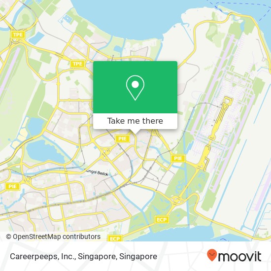 Careerpeeps, Inc., Singapore map