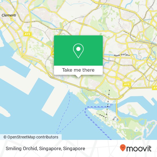 Smiling Orchid, Singapore map