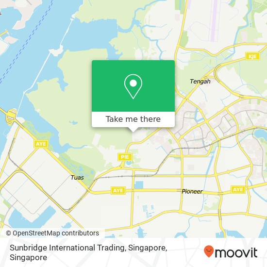 Sunbridge International Trading, Singapore map