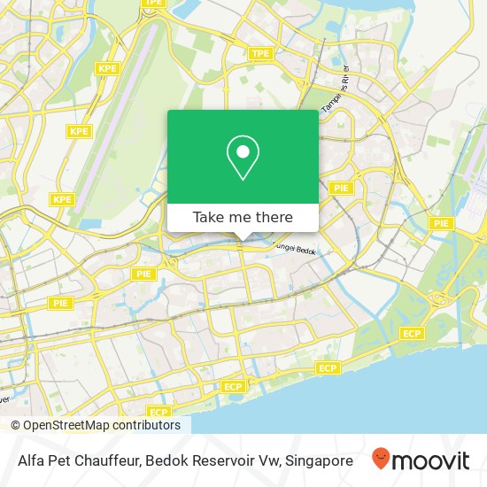 Alfa Pet Chauffeur, Bedok Reservoir Vw地图