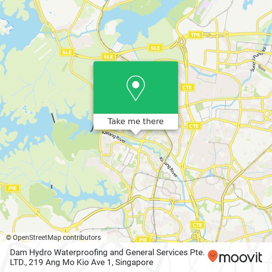 Dam Hydro Waterproofing and General Services Pte. LTD., 219 Ang Mo Kio Ave 1地图