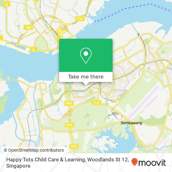 Happy Tots Child Care & Learning, Woodlands St 12地图