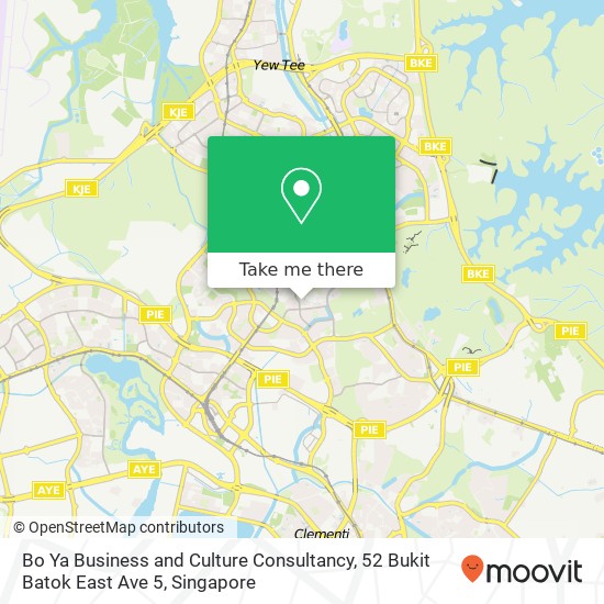 Bo Ya Business and Culture Consultancy, 52 Bukit Batok East Ave 5 map