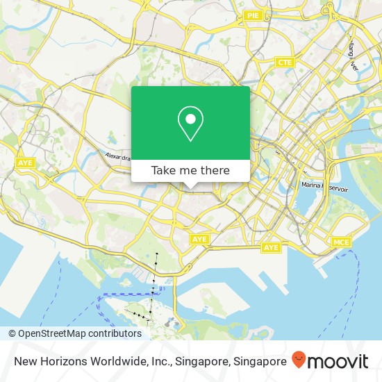 New Horizons Worldwide, Inc., Singapore map