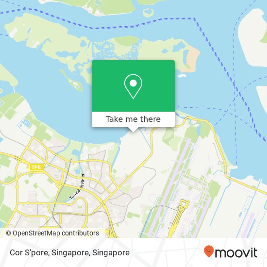 Cor S'pore, Singapore map