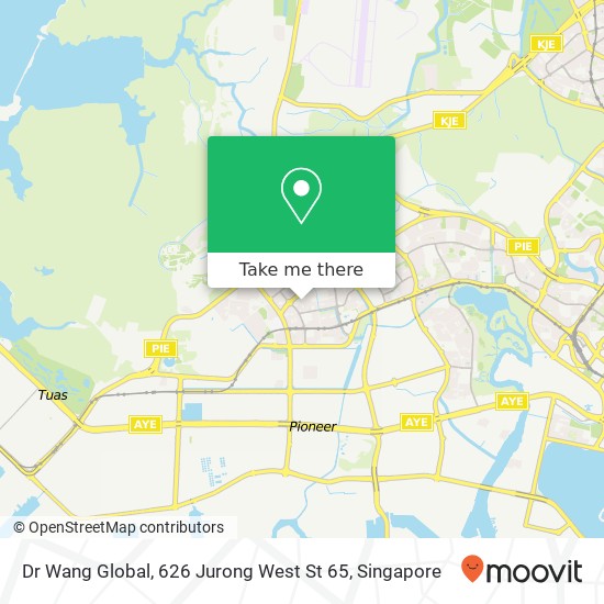 Dr Wang Global, 626 Jurong West St 65 map