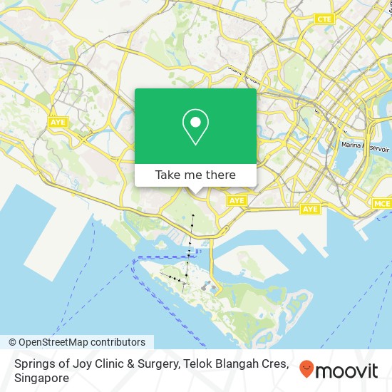 Springs of Joy Clinic & Surgery, Telok Blangah Cres map