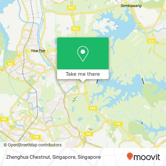 Zhenghua Chestnut, Singapore map