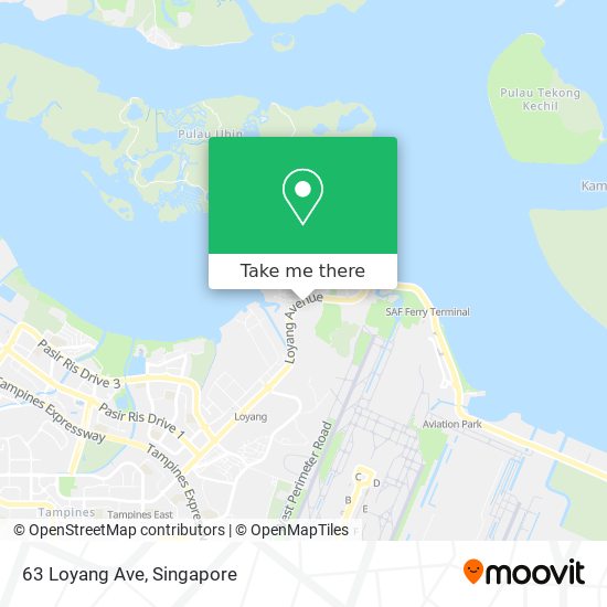 63 Loyang Ave map