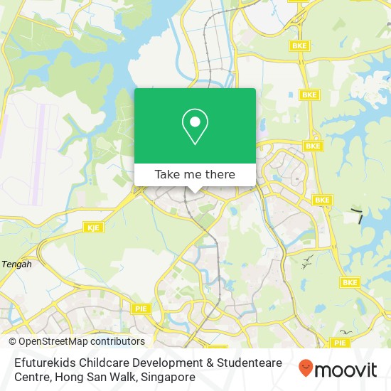 Efuturekids Childcare Development & Studenteare Centre, Hong San Walk map