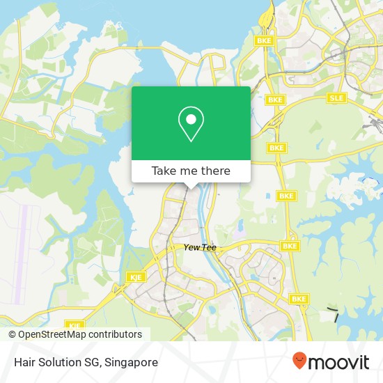 Hair Solution SG map