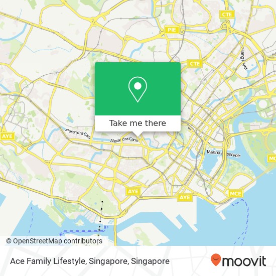 Ace Family Lifestyle, Singapore map