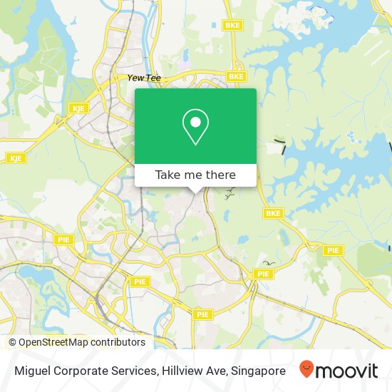 Miguel Corporate Services, Hillview Ave地图