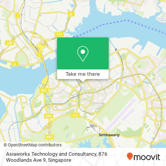 Asiaworks Technology and Consultancy, 876 Woodlands Ave 9地图