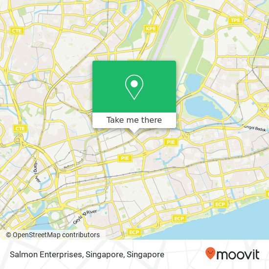 Salmon Enterprises, Singapore map