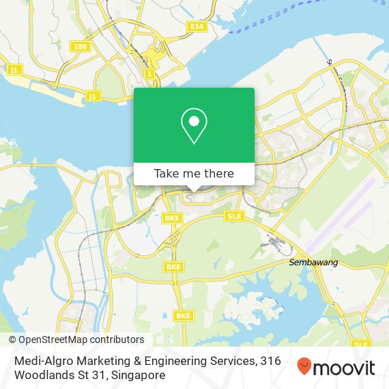 Medi-Algro Marketing & Engineering Services, 316 Woodlands St 31地图