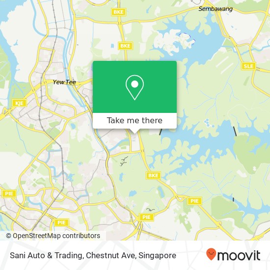 Sani Auto & Trading, Chestnut Ave地图