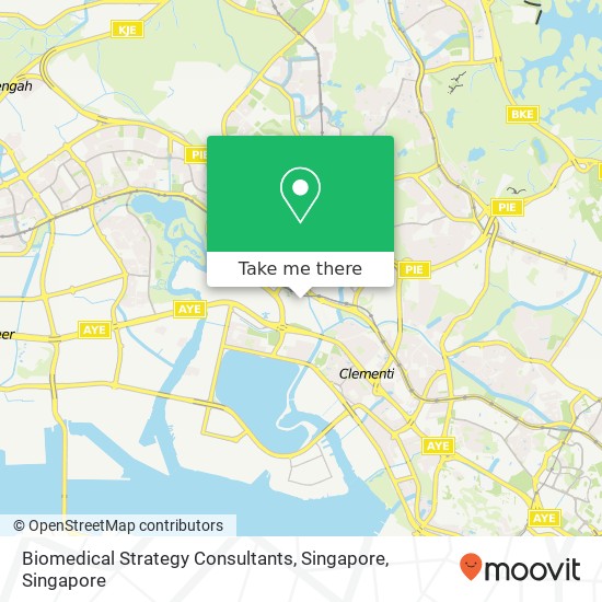 Biomedical Strategy Consultants, Singapore map