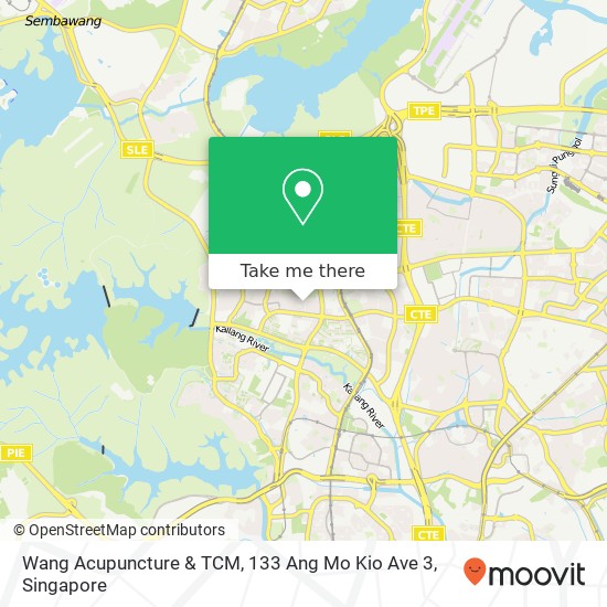 Wang Acupuncture & TCM, 133 Ang Mo Kio Ave 3 map