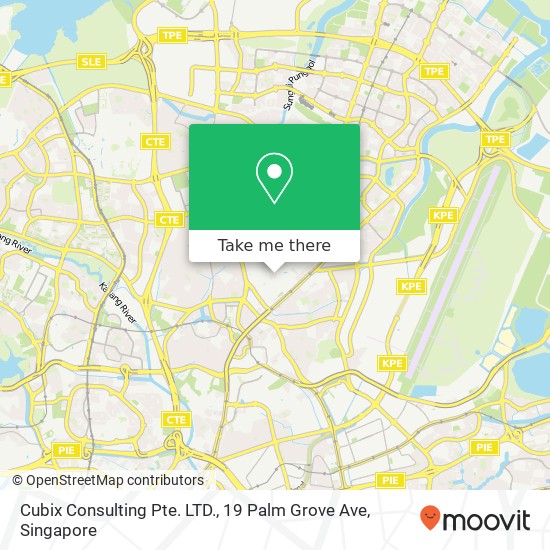 Cubix Consulting Pte. LTD., 19 Palm Grove Ave地图