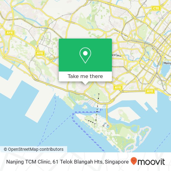 Nanjing TCM Clinic, 61 Telok Blangah Hts地图