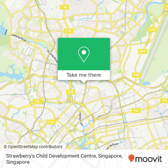 Strawberry's Child Development Centre, Singapore map